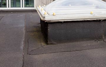 disadvantages of Old Newton flat roofs