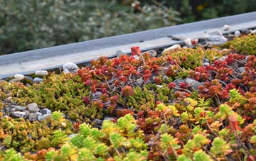 the cost of Old Newton green roof installation