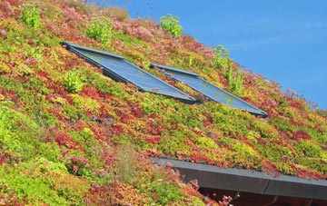 Old Newton living roof systems