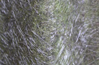 Old Newton fibreglass roof work